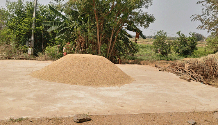 తొలగిన ధాన్యం ఆరబోత కష్టాలు