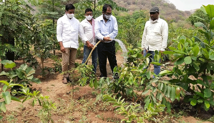 పారిశుధ్య పనులను పకడ్బందీగా చేపట్టాలి