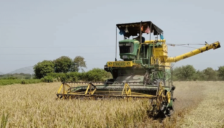 వరి కోతలు షురూ..