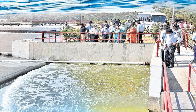 68శాతం శుద్ధి చేస్తున్నాయి..