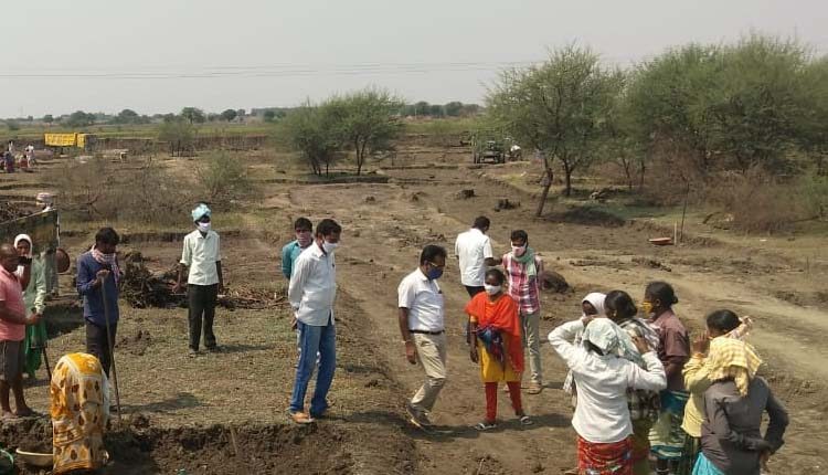 నర్సరీల్లోని మొక్కలను సంరక్షించాలి