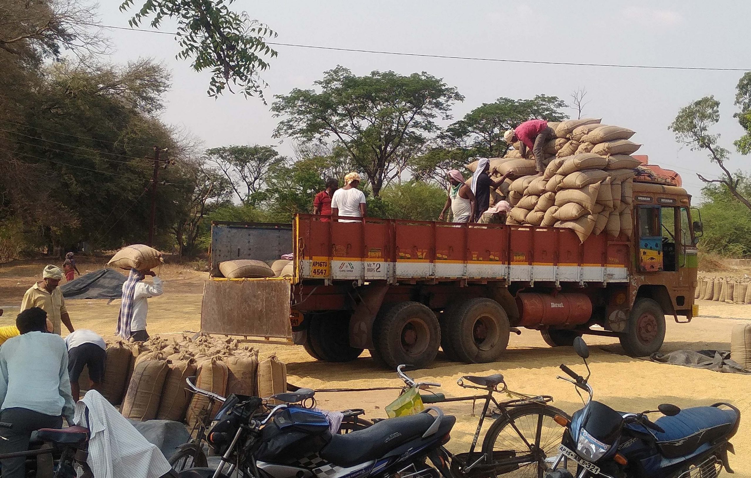 ధాన్యం కొనుగోళ్ల జోరు