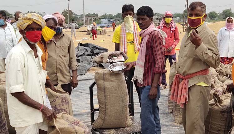 గ్రామగ్రామాన కొనుగోలు కేంద్రాలు