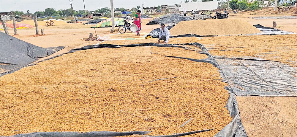 అకాల వాన బీభత్సం