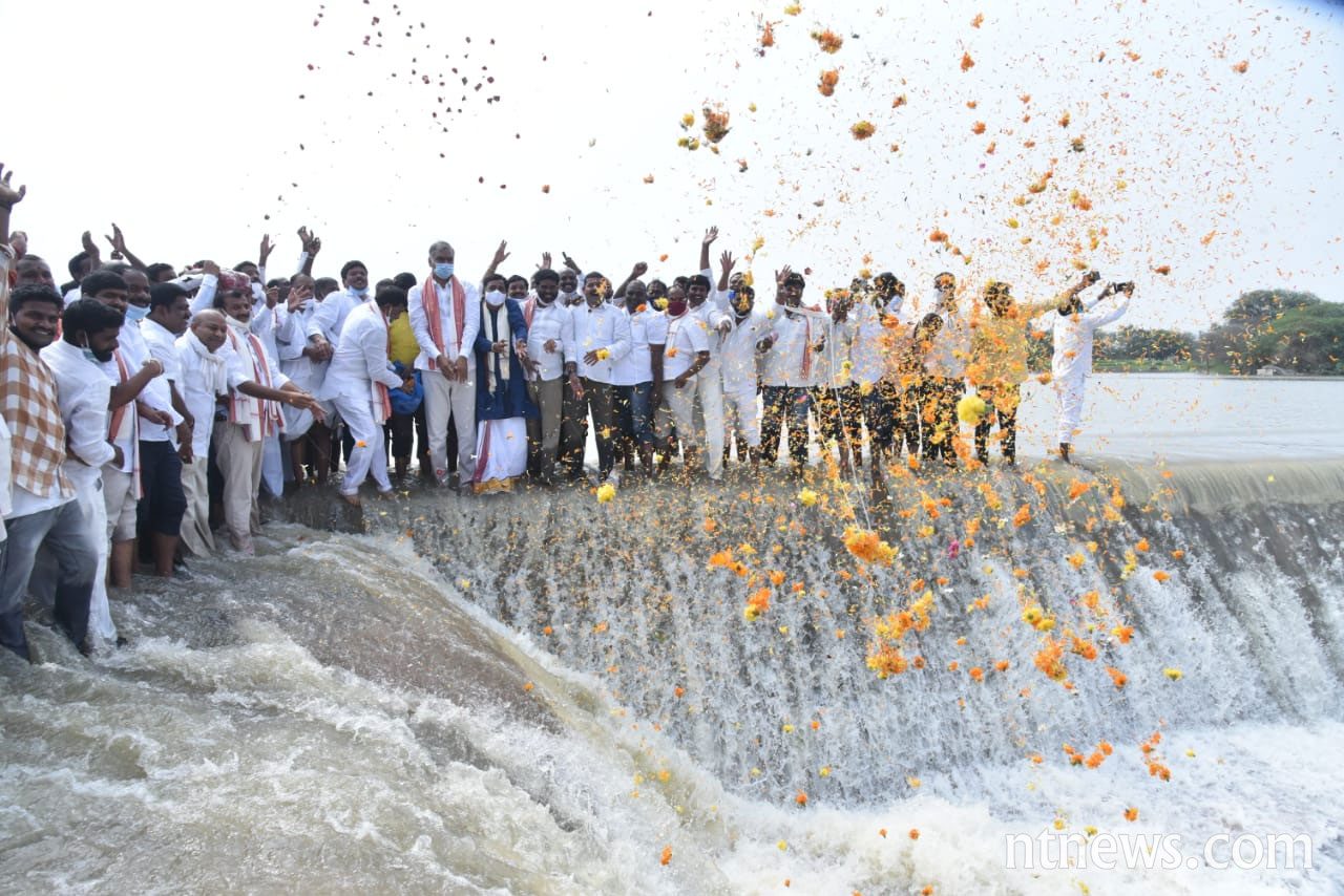 గోదారమ్మకు హరీశ్‌ రావు ప్రత్యేక పూజలు