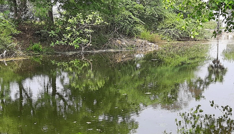 గోదావరి నీళ్లు వృథా