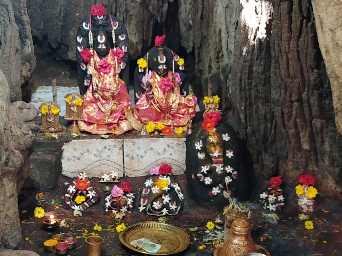 చెట్టంత దేవుడికి చెట్టు తొర్రే ఆల‌యం.. మ‌న తెలంగాణ‌లోనే