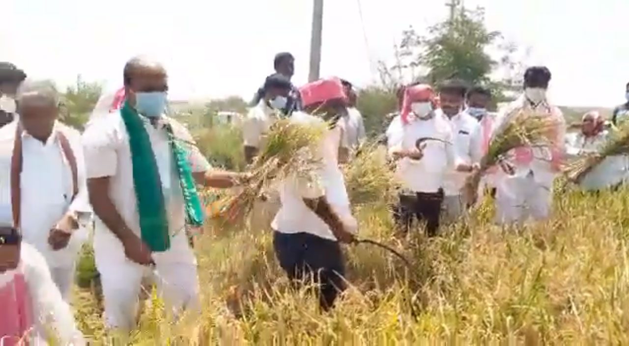 వరి కోతలో పాల్గొని కూలీల‌ ఓట్ల అభ్యర్థన