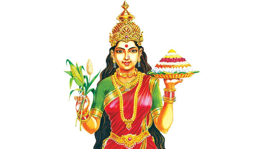 విధ్వంసంలోంచి విముక్తి వైపు