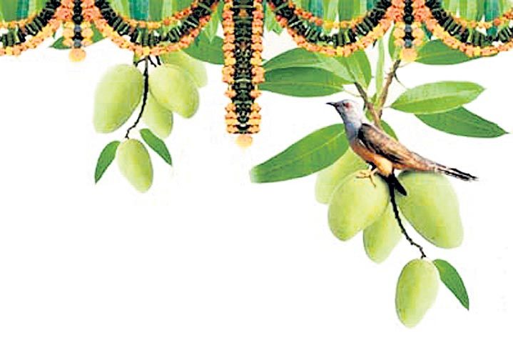 రావమ్మా ఉగాదమ్మా!