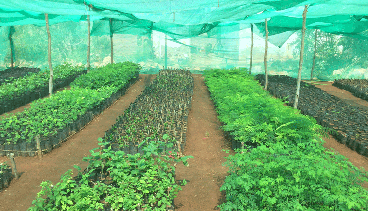 కుర్మిద్దకు కొత్త సొబగులు