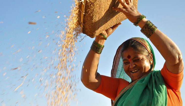 సన్నాలే మిన్న