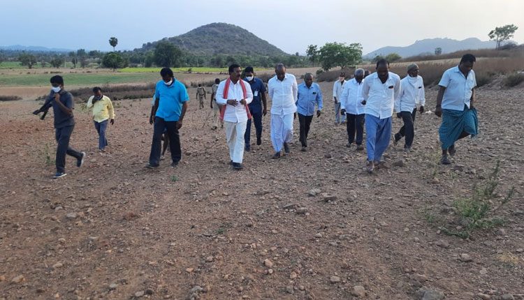 వీరాయిపల్లిలో వేరుశనగ పరిశోధన కేంద్రం