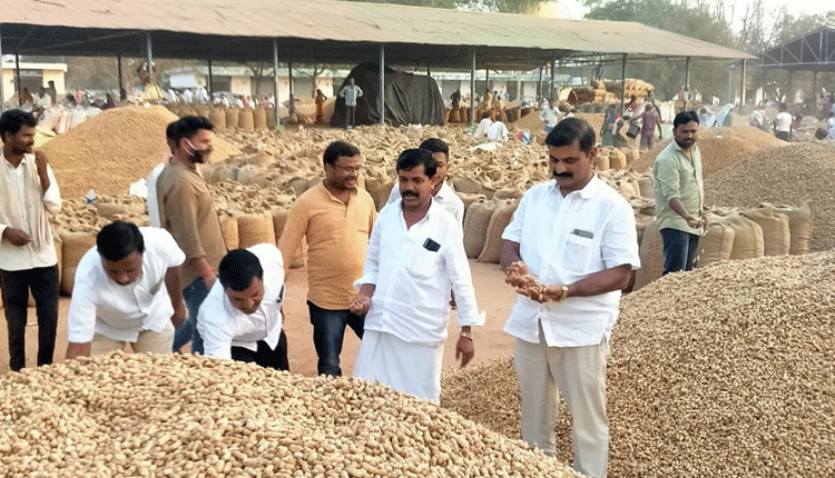 మార్కెట్‌కు రికార్డుస్థాయిలో వేరుశనగ