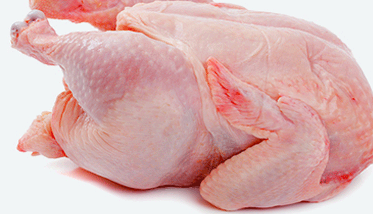 కొండెక్కిన కోడి..