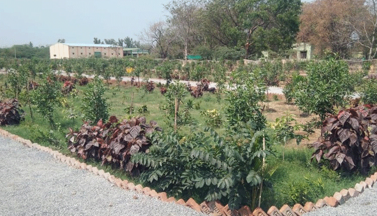 ఉప్పల్‌కు కొత్త వెలుగుల్‌