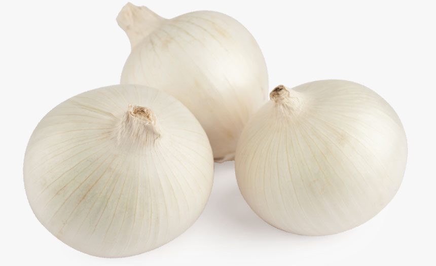 తెల్ల ఉల్లితో మరింత మేలు!