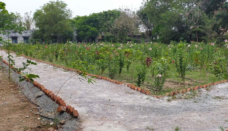 గోపాల్‌పూర్‌..ప్రగతిలో సూపర్‌