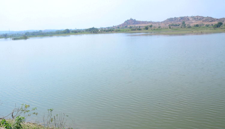 గోదావరి పరవళ్లు