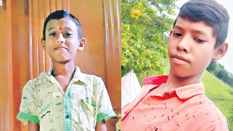 పుచ్చకాయ తిని అన్నదమ్ములు మృతి