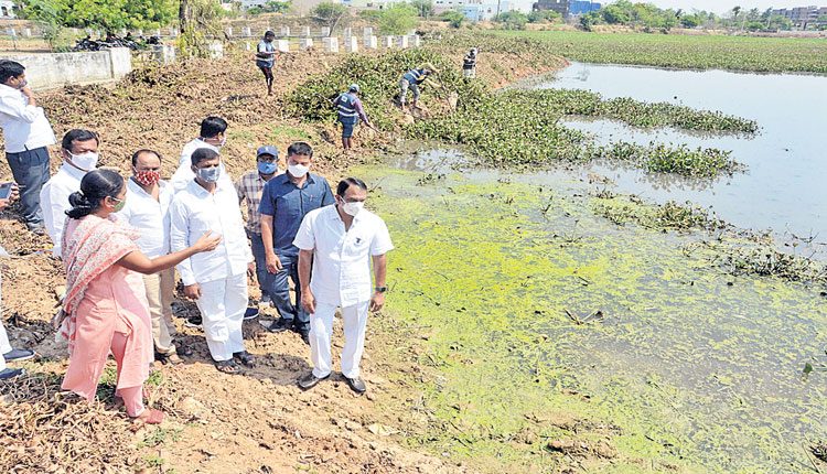 గుర్రపుడెక్క తొలగింపు పనులు వేగవంతం
