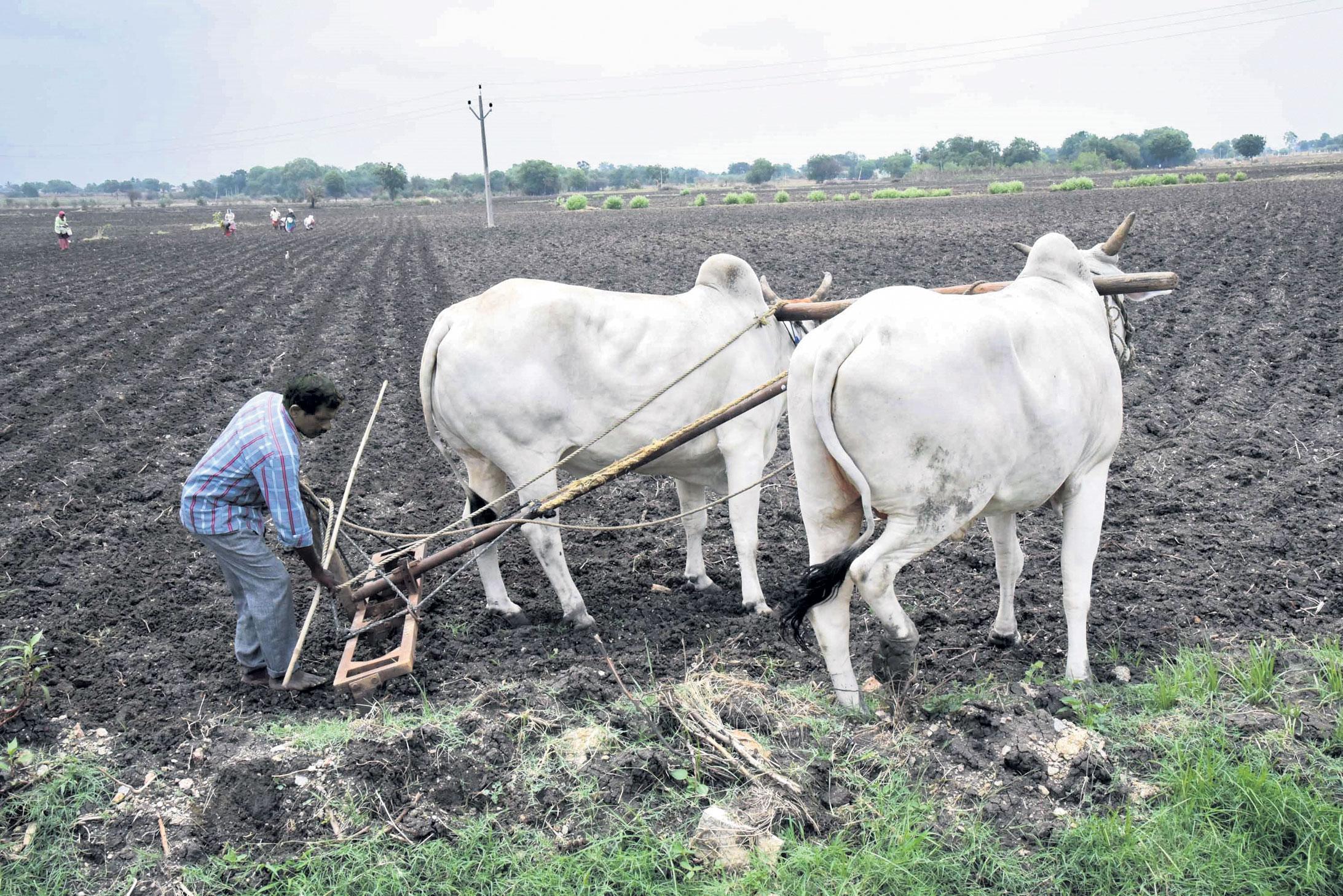 వానకాలం సాగు ప్రణాళిక సిద్ధం