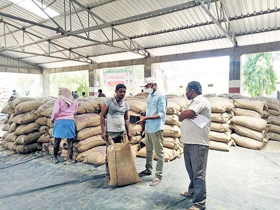 జోరుగా ధాన్యం కొనుగోళ్లు