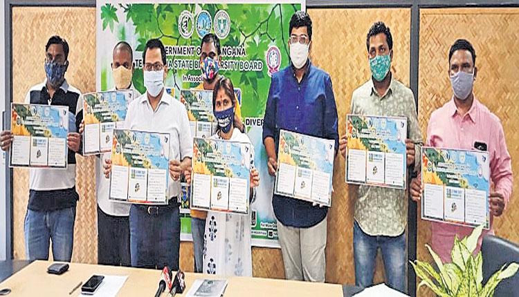 జీవ వైవిధ్యంపై అవగాహన పెంచుకోవాలి