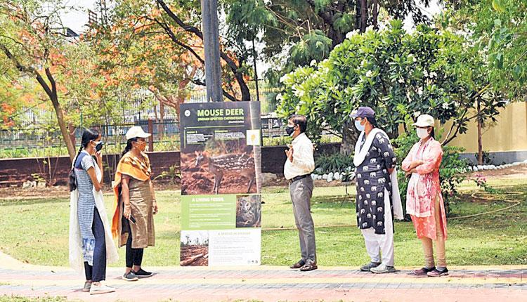 ‘మూషిక జింక జీవనం’పై పోస్టర్‌ ప్రచారం