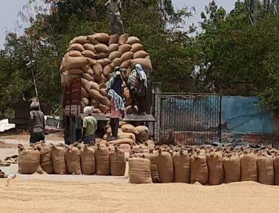 ముమ్మరంగా ధాన్యం కొనుగోళ్లు