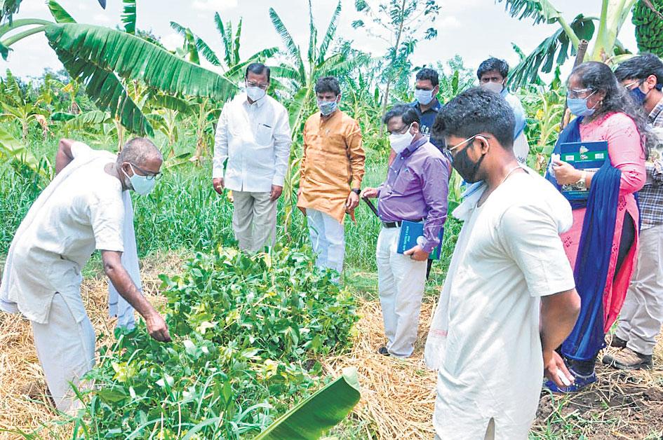 సేంద్రియ సాగుకు ప్రోత్సాహం