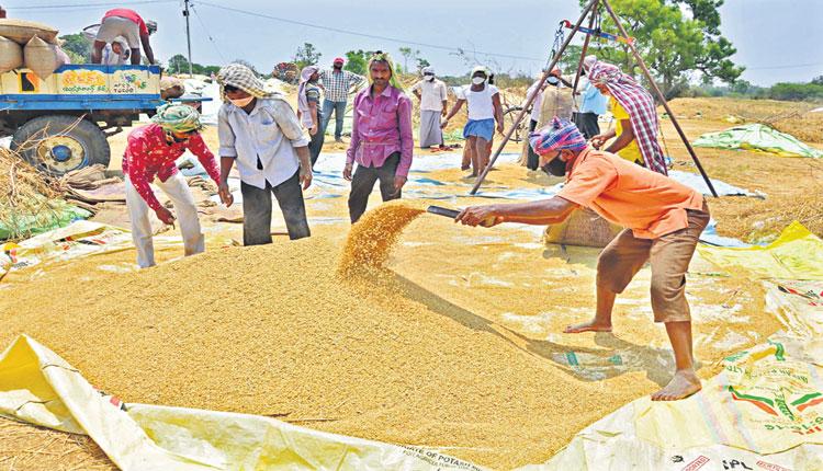 రైతు కష్టానికి ప్రతిఫలం
