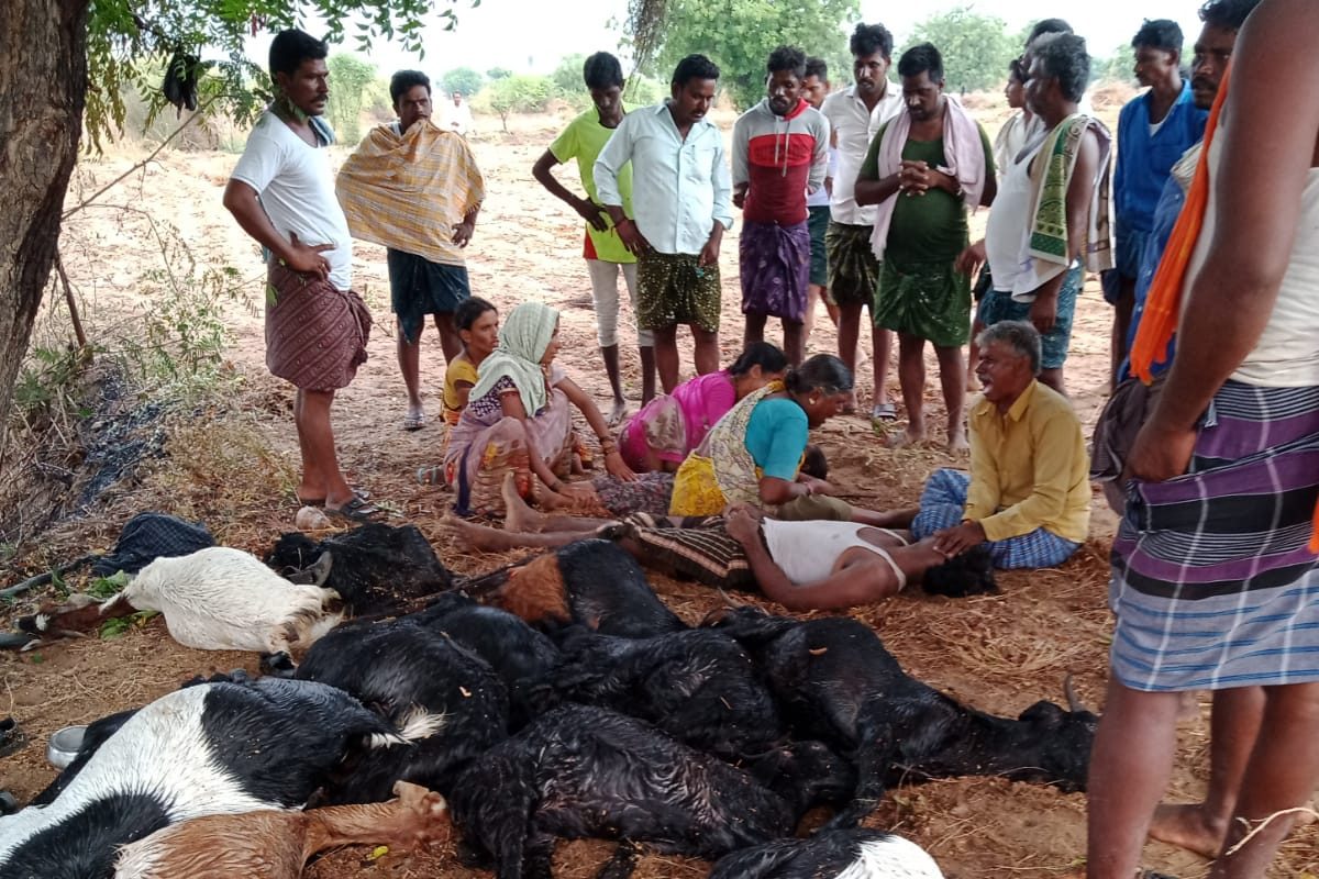 పిడుగుపాటుకు తండ్రీకుమార్తె మృతి