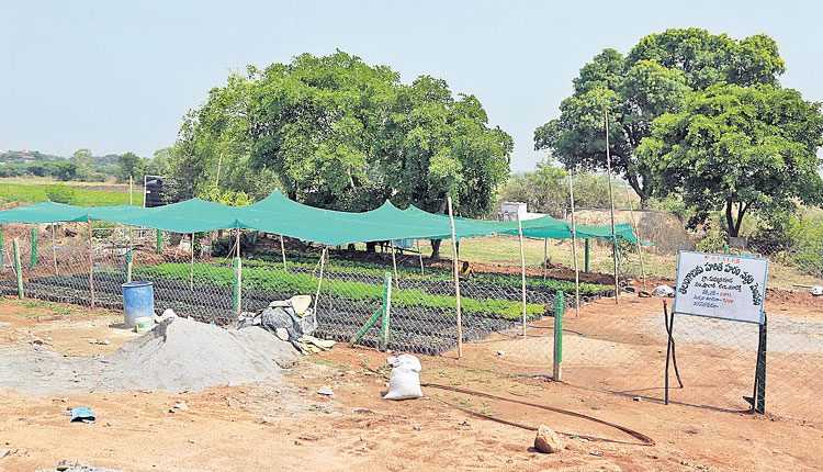 ప్రగతిలో కుమ్మరిగూడ