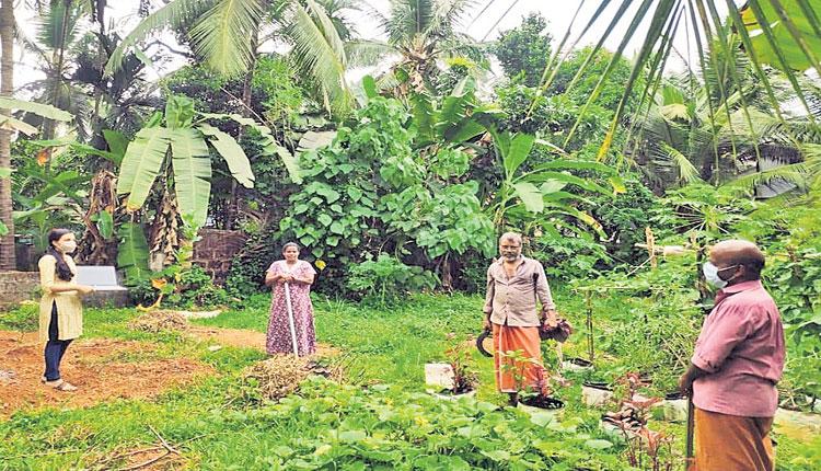 ప్రతి రైతుకూ కరోనాపై అవగాహన