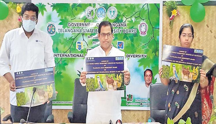 పర్యావరణ పరిరక్షణతోనే మానవ మనుగడ