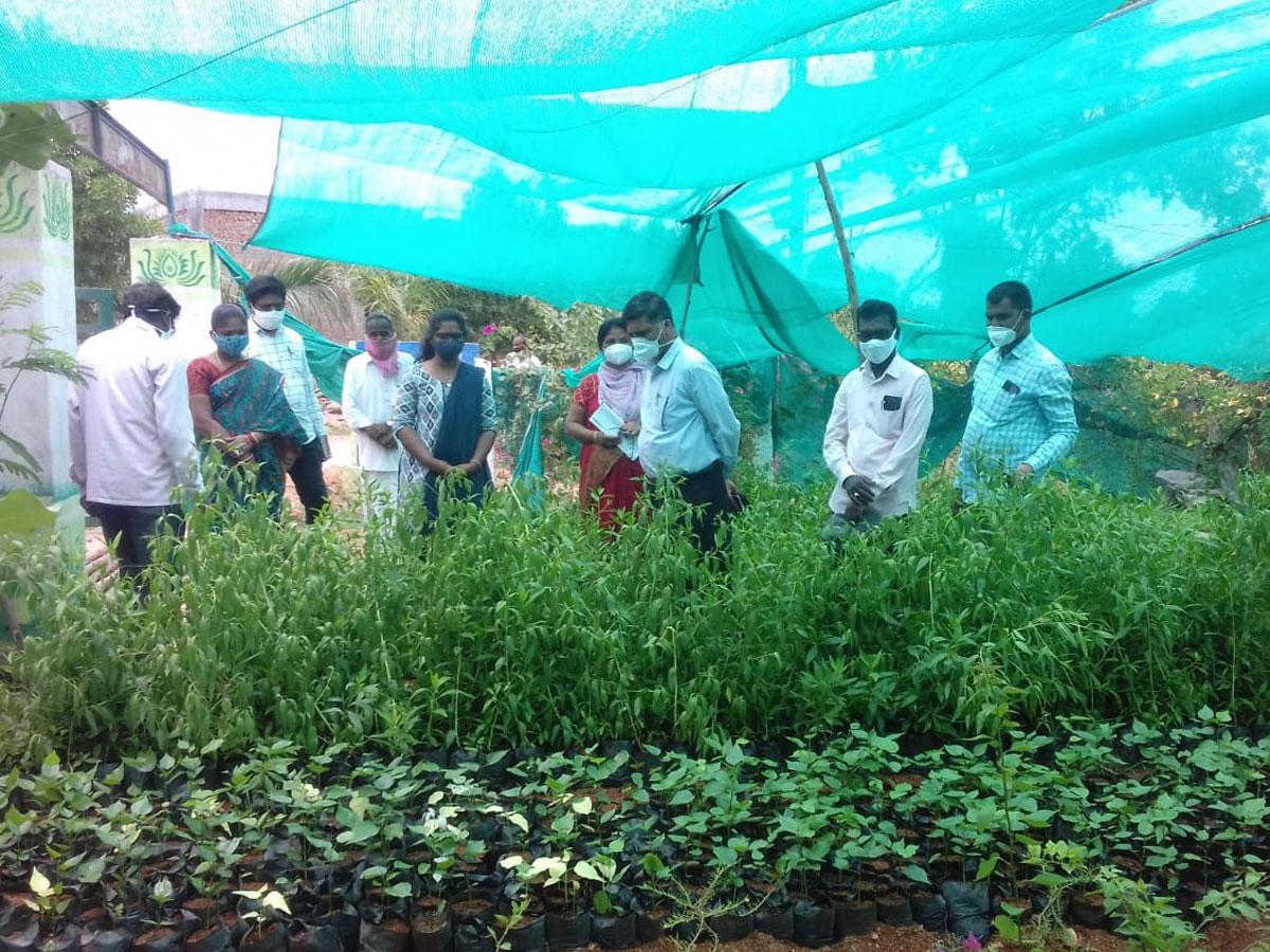 హరితహారానికి మొక్కలు సిద్ధం చేయాలి