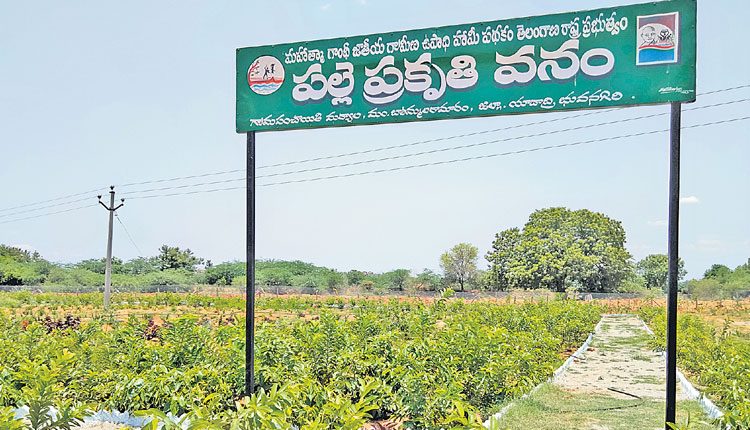 మర్యాల మెరిసింది