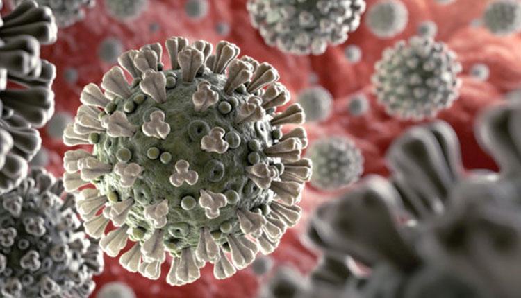 ‘కుటుంబ నియంత్రణ’లా ప్రచారం చేయండి