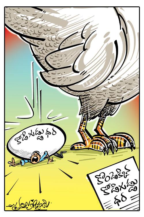 డైలీ కార్టూన్‌ 31-05-2021