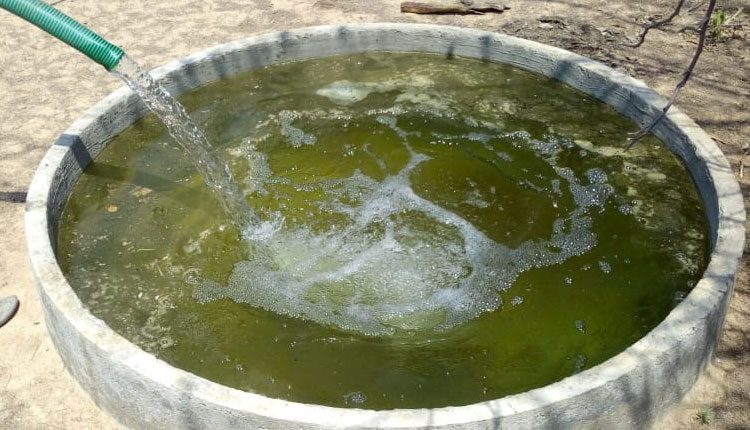 దాహార్తి తీరేలా..