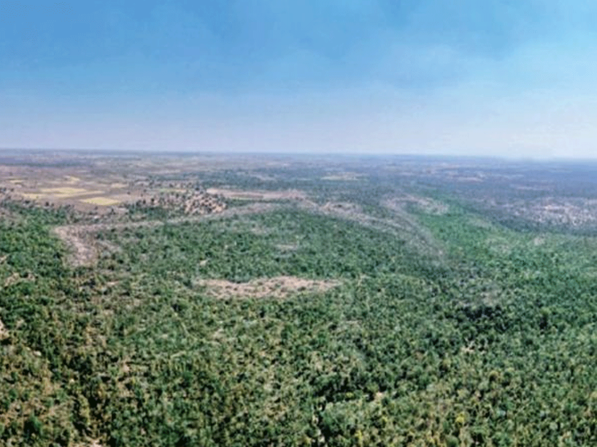 మ‌రో చిప్కో ఉద్య‌మం.. ఎంపీలో ‘సేవ్ బక్స్వాహా ఫారెస్ట్’