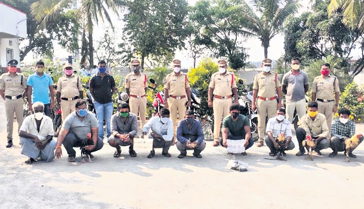 ఫాంహౌస్‌లో కోడి పందెం.. 10మంది అరెస్టు