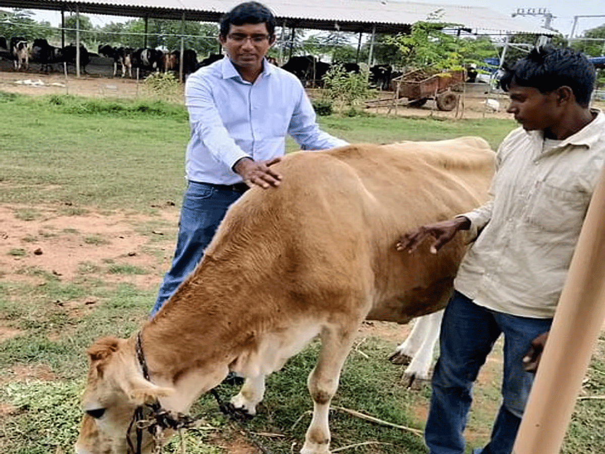 అమెరికా ఉద్యోగం క‌న్నా పాడిలో నాలుగింత‌లు ఎక్కువ సంపాద‌న : కిషోర్ మంత్రం
