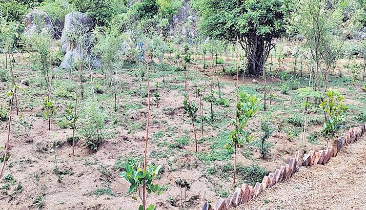 తండా అభివృద్ధి భేష్‌