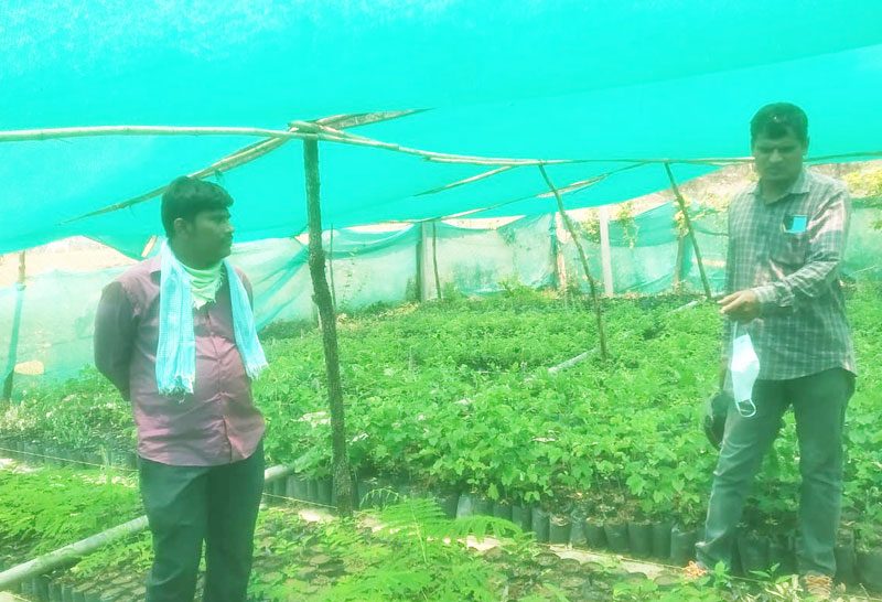 మొక్కలతోనే మానవ మనుగడ