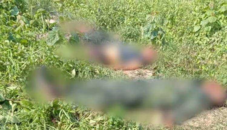 అసోంలో ఆరుగురు ఉగ్రవాదులు హతం