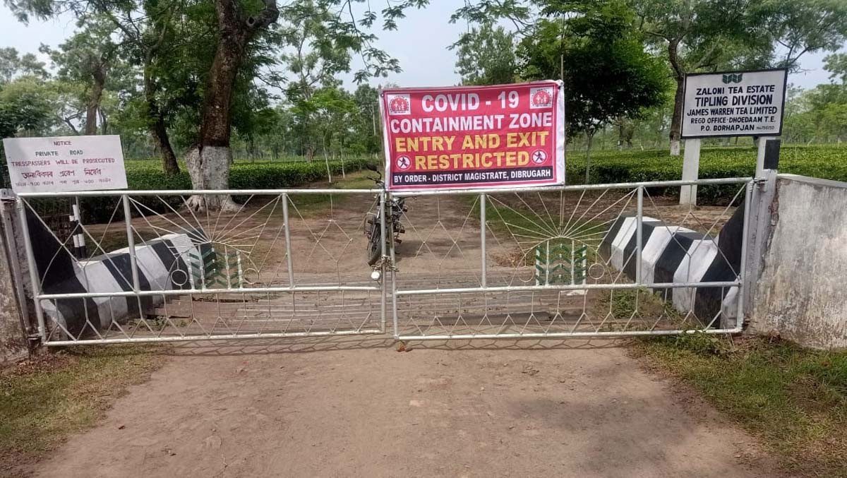 ఒకే టీ గార్డెన్‌లో 90 మంది వ‌ర్క‌ర్ల‌కు క‌రోనా పాజిటివ్