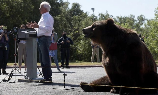 ఎన్నికల సభకు భారీ ఎలుగుబంటితో..