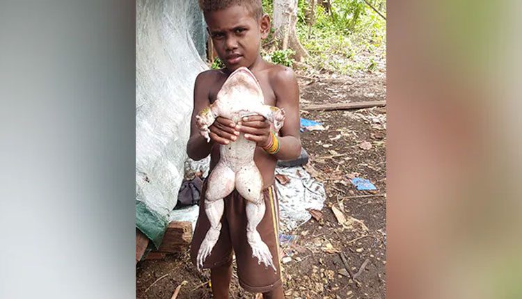 శిశువు సైజంత క‌ప్ప‌.. నోరెళ్ల‌బెట్టిన నెటిజ‌న్లు